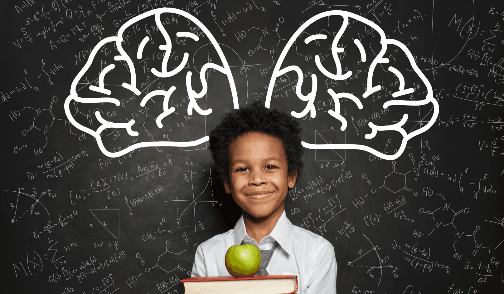 Challenge Gifted Minds. Strengthen Cognitive Skills.